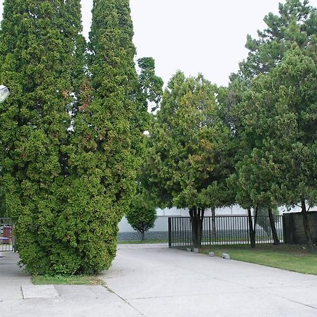Bezdan Guesthouse Bagian luar foto