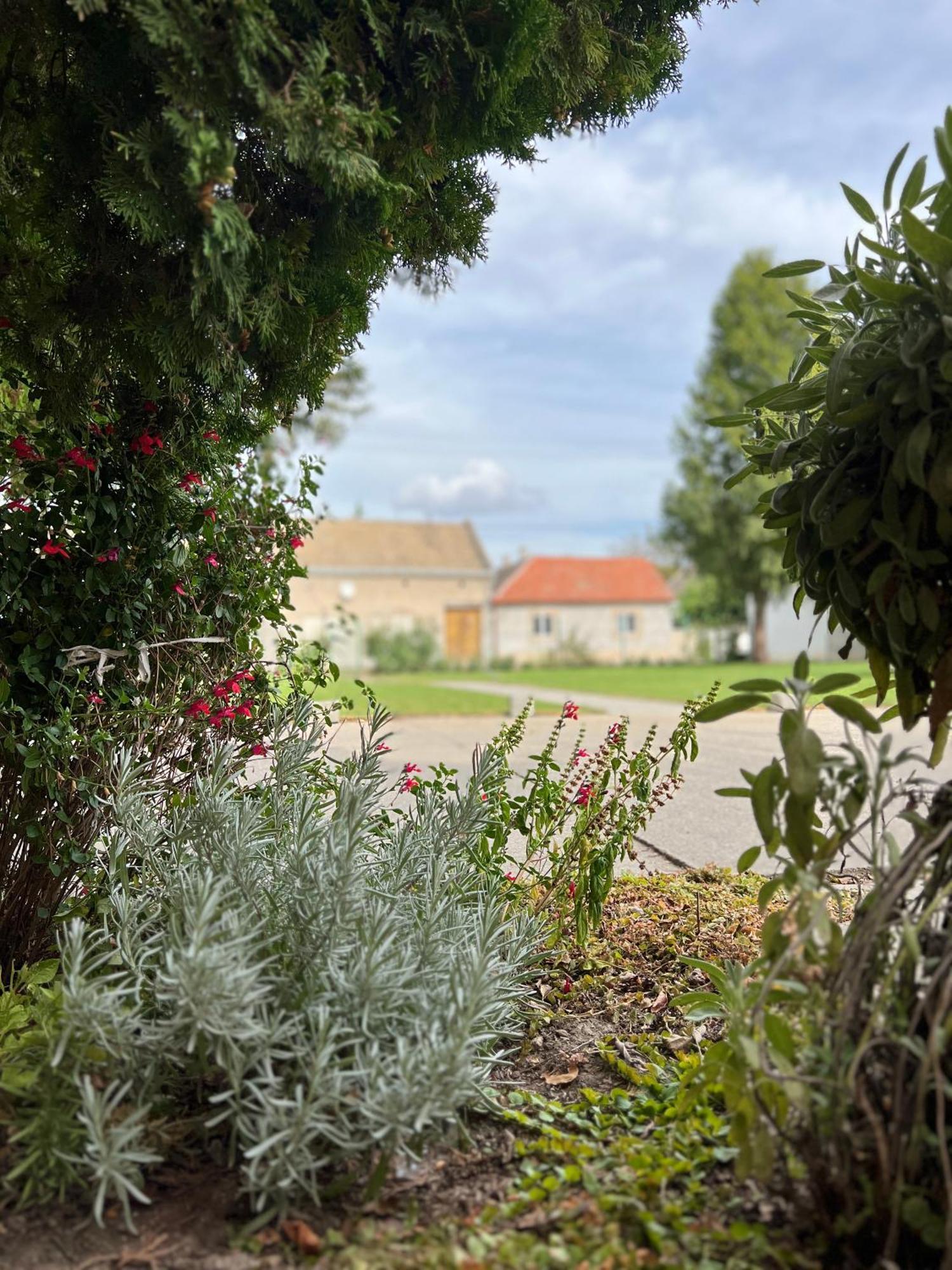 Bezdan Guesthouse Bagian luar foto